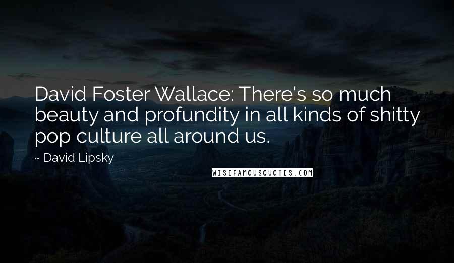 David Lipsky Quotes: David Foster Wallace: There's so much beauty and profundity in all kinds of shitty pop culture all around us.