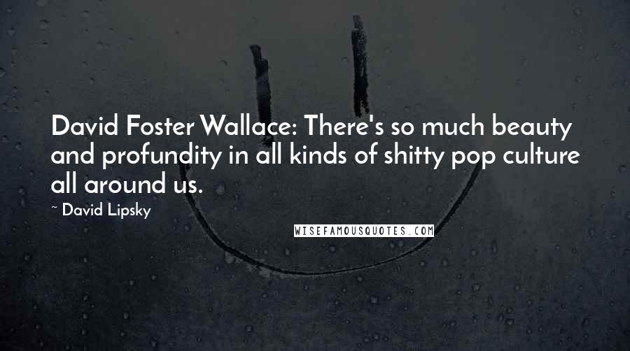 David Lipsky Quotes: David Foster Wallace: There's so much beauty and profundity in all kinds of shitty pop culture all around us.