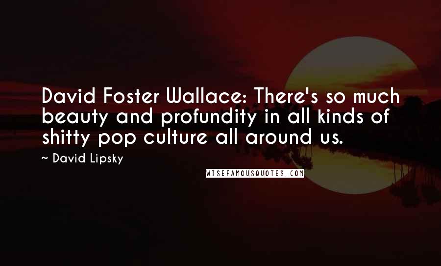 David Lipsky Quotes: David Foster Wallace: There's so much beauty and profundity in all kinds of shitty pop culture all around us.