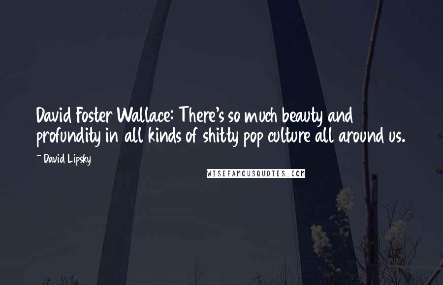 David Lipsky Quotes: David Foster Wallace: There's so much beauty and profundity in all kinds of shitty pop culture all around us.