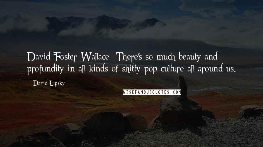 David Lipsky Quotes: David Foster Wallace: There's so much beauty and profundity in all kinds of shitty pop culture all around us.