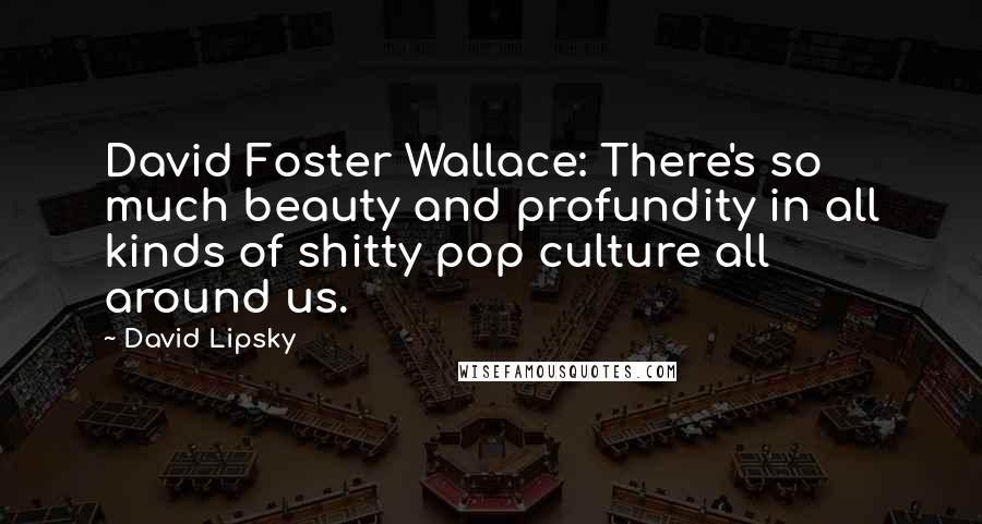 David Lipsky Quotes: David Foster Wallace: There's so much beauty and profundity in all kinds of shitty pop culture all around us.