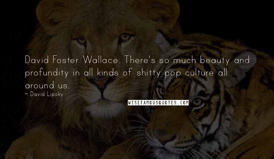 David Lipsky Quotes: David Foster Wallace: There's so much beauty and profundity in all kinds of shitty pop culture all around us.