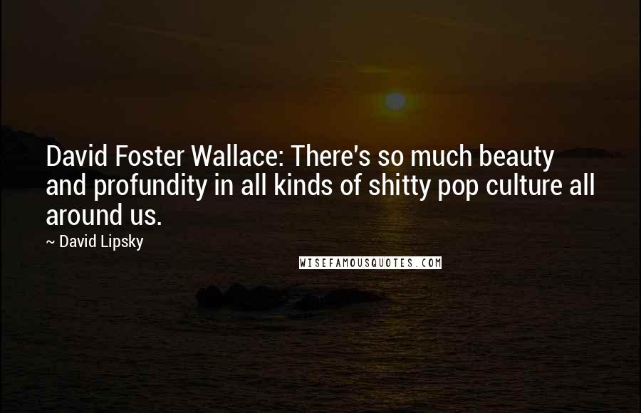 David Lipsky Quotes: David Foster Wallace: There's so much beauty and profundity in all kinds of shitty pop culture all around us.