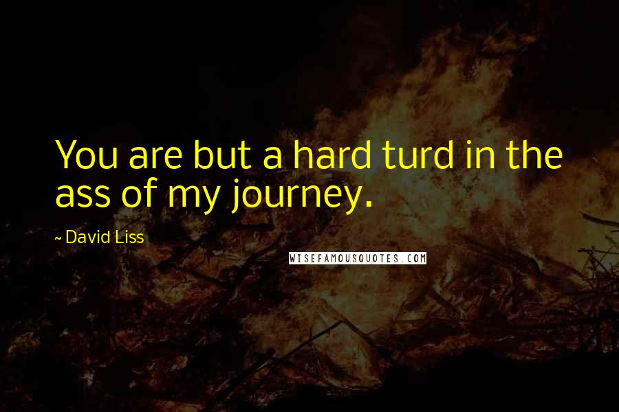 David Liss Quotes: You are but a hard turd in the ass of my journey.