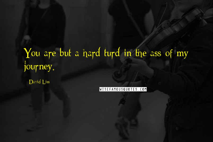 David Liss Quotes: You are but a hard turd in the ass of my journey.