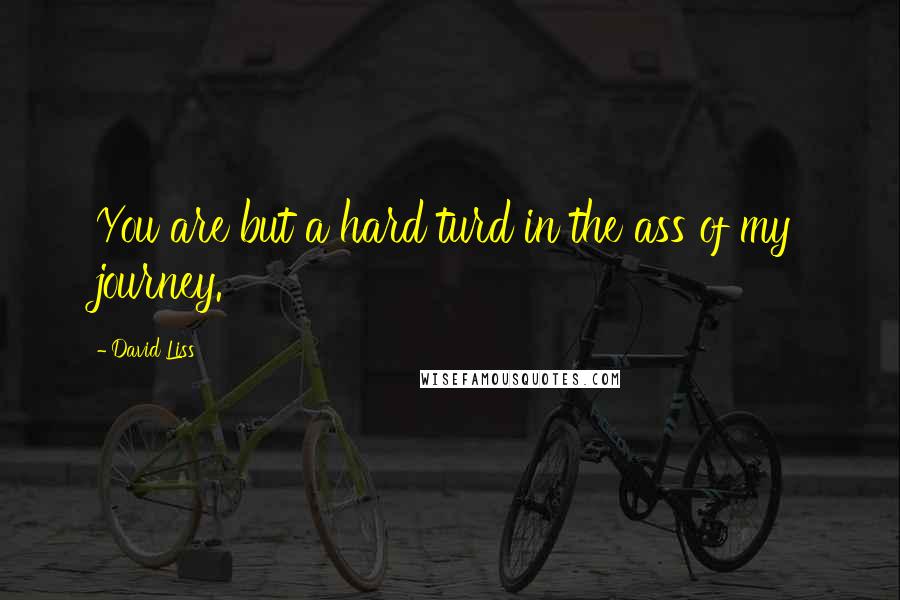 David Liss Quotes: You are but a hard turd in the ass of my journey.