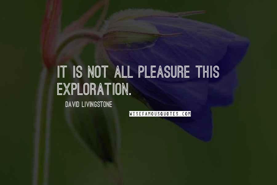 David Livingstone Quotes: It is not all pleasure this exploration.