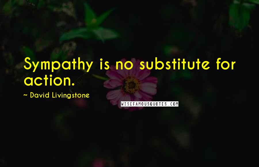 David Livingstone Quotes: Sympathy is no substitute for action.