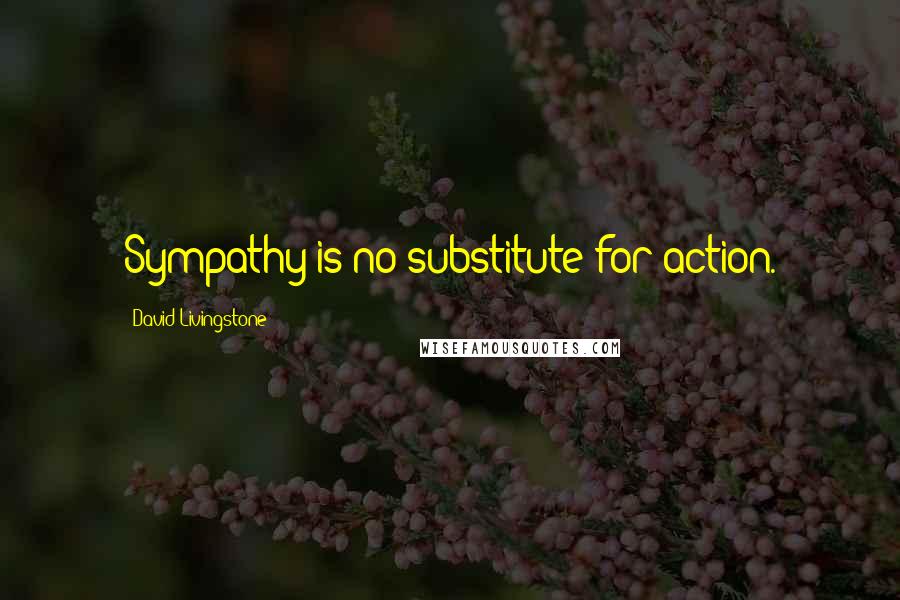 David Livingstone Quotes: Sympathy is no substitute for action.