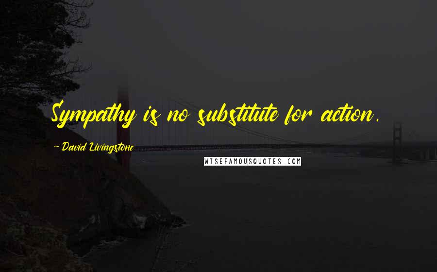 David Livingstone Quotes: Sympathy is no substitute for action.