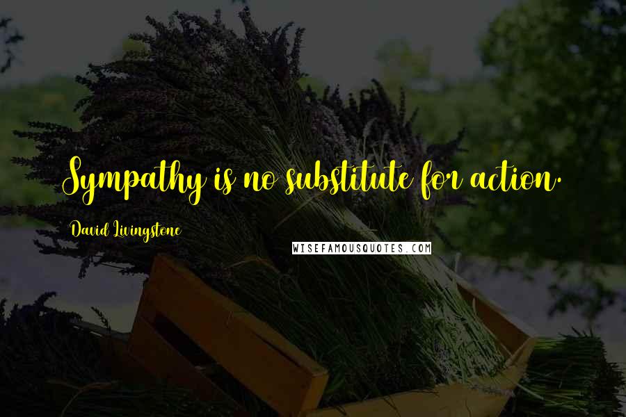 David Livingstone Quotes: Sympathy is no substitute for action.