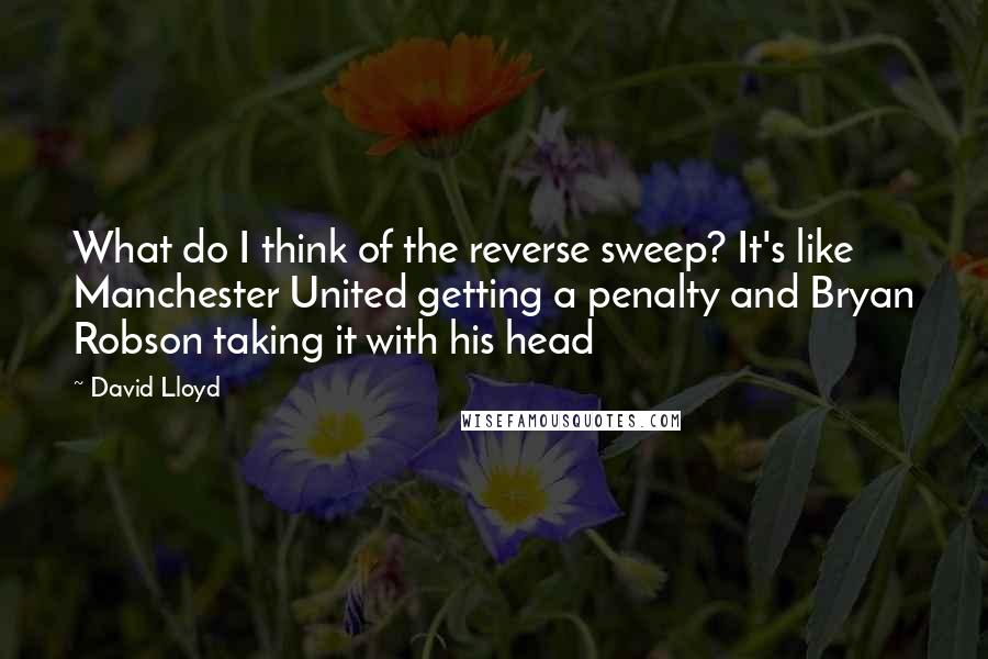 David Lloyd Quotes: What do I think of the reverse sweep? It's like Manchester United getting a penalty and Bryan Robson taking it with his head