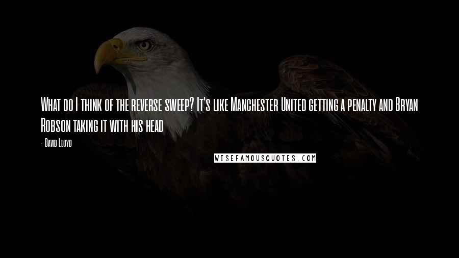 David Lloyd Quotes: What do I think of the reverse sweep? It's like Manchester United getting a penalty and Bryan Robson taking it with his head