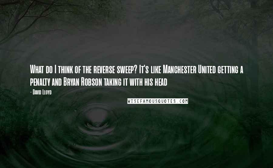 David Lloyd Quotes: What do I think of the reverse sweep? It's like Manchester United getting a penalty and Bryan Robson taking it with his head