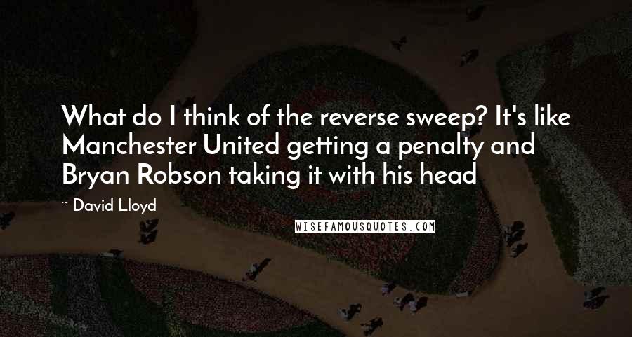 David Lloyd Quotes: What do I think of the reverse sweep? It's like Manchester United getting a penalty and Bryan Robson taking it with his head