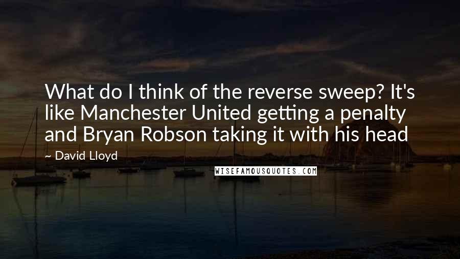 David Lloyd Quotes: What do I think of the reverse sweep? It's like Manchester United getting a penalty and Bryan Robson taking it with his head