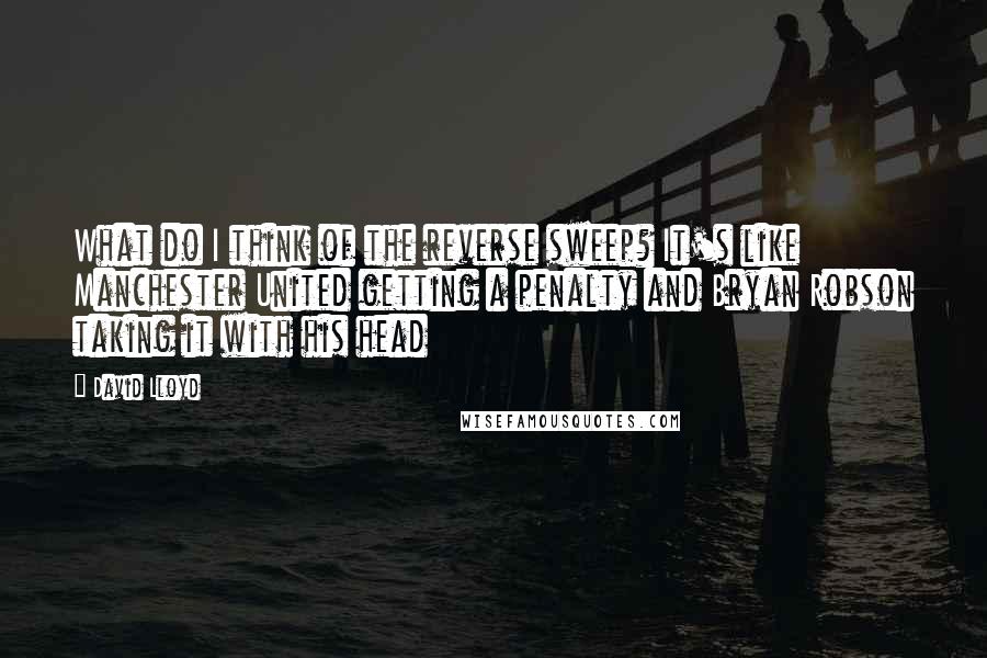 David Lloyd Quotes: What do I think of the reverse sweep? It's like Manchester United getting a penalty and Bryan Robson taking it with his head