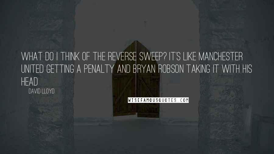 David Lloyd Quotes: What do I think of the reverse sweep? It's like Manchester United getting a penalty and Bryan Robson taking it with his head