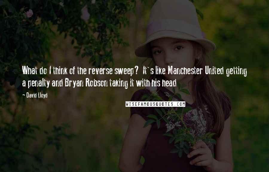David Lloyd Quotes: What do I think of the reverse sweep? It's like Manchester United getting a penalty and Bryan Robson taking it with his head