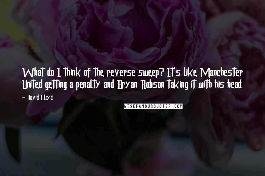 David Lloyd Quotes: What do I think of the reverse sweep? It's like Manchester United getting a penalty and Bryan Robson taking it with his head