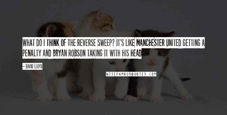 David Lloyd Quotes: What do I think of the reverse sweep? It's like Manchester United getting a penalty and Bryan Robson taking it with his head