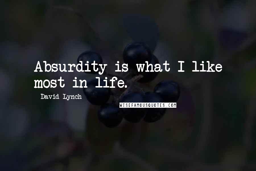 David Lynch Quotes: Absurdity is what I like most in life.