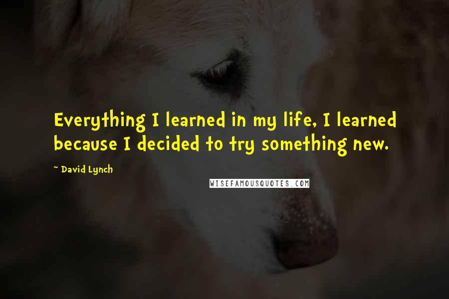 David Lynch Quotes: Everything I learned in my life, I learned because I decided to try something new.