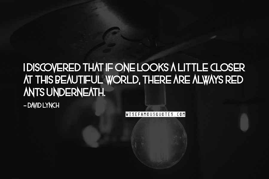 David Lynch Quotes: I discovered that if one looks a little closer at this beautiful world, there are always red ants underneath.