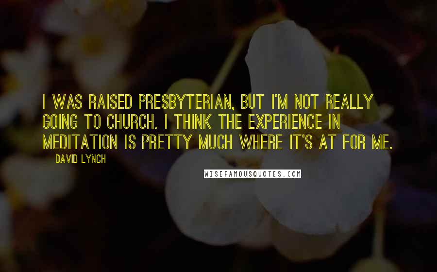 David Lynch Quotes: I was raised Presbyterian, but I'm not really going to church. I think the experience in meditation is pretty much where it's at for me.