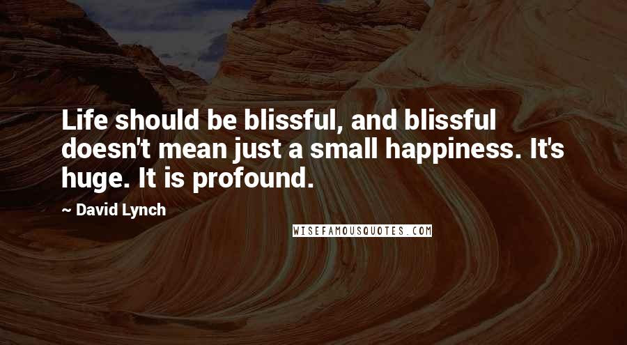 David Lynch Quotes: Life should be blissful, and blissful doesn't mean just a small happiness. It's huge. It is profound.