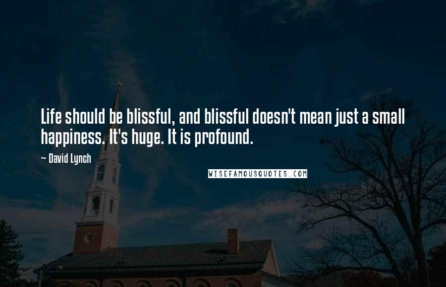 David Lynch Quotes: Life should be blissful, and blissful doesn't mean just a small happiness. It's huge. It is profound.