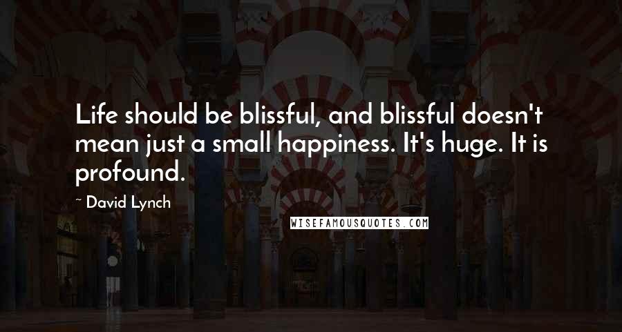 David Lynch Quotes: Life should be blissful, and blissful doesn't mean just a small happiness. It's huge. It is profound.