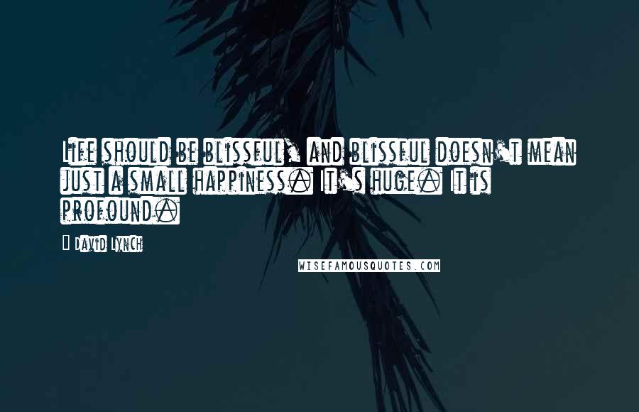 David Lynch Quotes: Life should be blissful, and blissful doesn't mean just a small happiness. It's huge. It is profound.