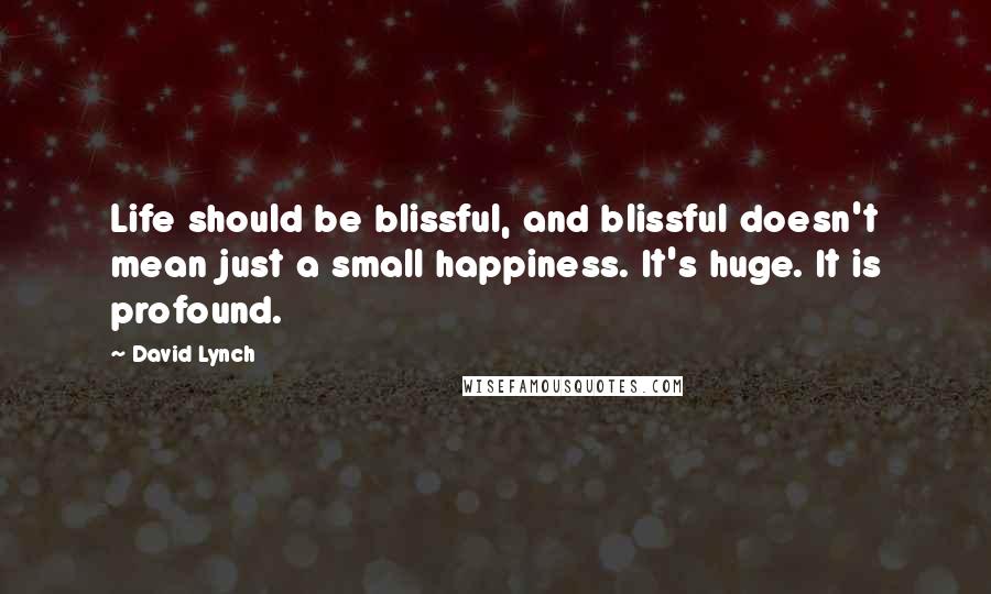 David Lynch Quotes: Life should be blissful, and blissful doesn't mean just a small happiness. It's huge. It is profound.
