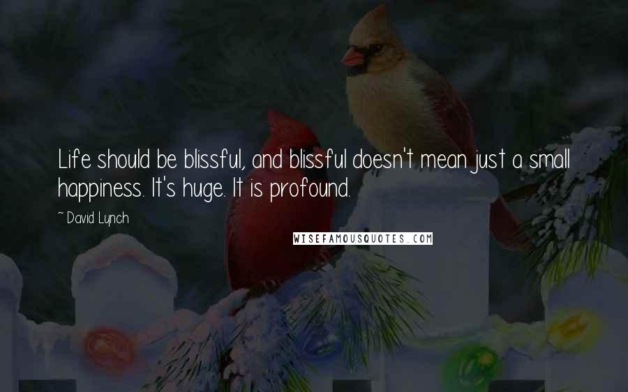 David Lynch Quotes: Life should be blissful, and blissful doesn't mean just a small happiness. It's huge. It is profound.