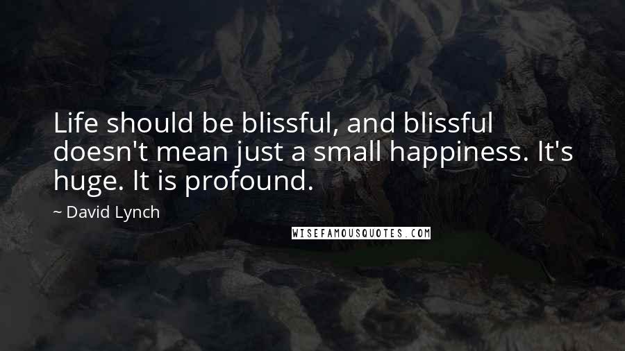 David Lynch Quotes: Life should be blissful, and blissful doesn't mean just a small happiness. It's huge. It is profound.