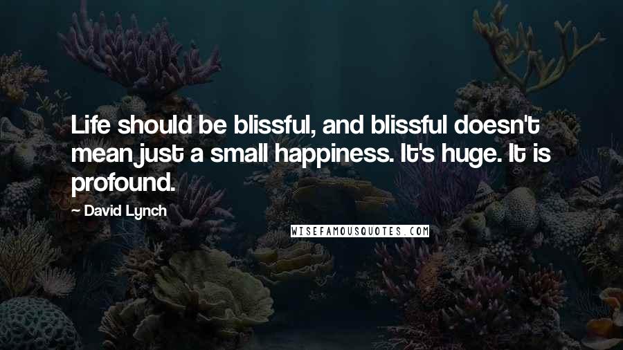 David Lynch Quotes: Life should be blissful, and blissful doesn't mean just a small happiness. It's huge. It is profound.