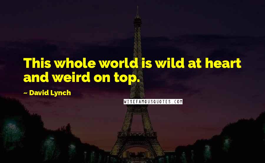 David Lynch Quotes: This whole world is wild at heart and weird on top.