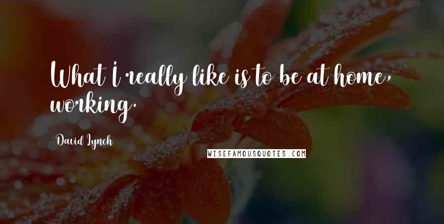 David Lynch Quotes: What I really like is to be at home, working.