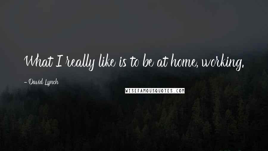 David Lynch Quotes: What I really like is to be at home, working.
