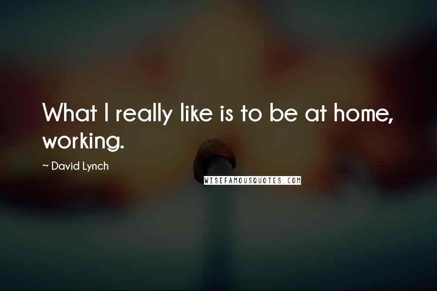 David Lynch Quotes: What I really like is to be at home, working.