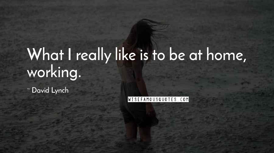 David Lynch Quotes: What I really like is to be at home, working.