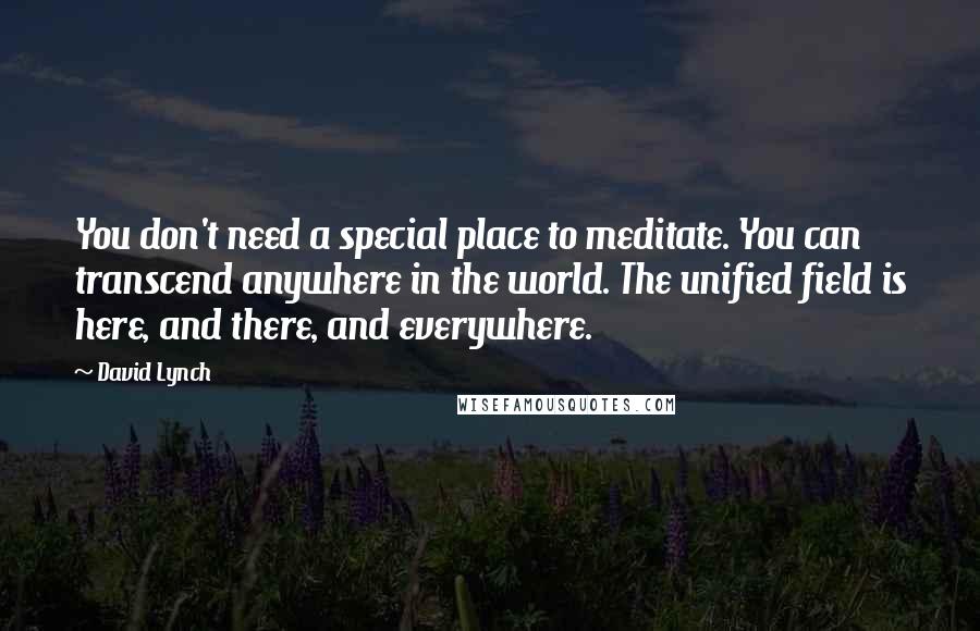 David Lynch Quotes: You don't need a special place to meditate. You can transcend anywhere in the world. The unified field is here, and there, and everywhere.