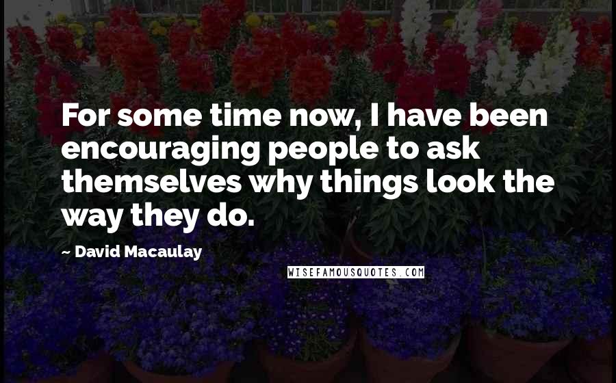 David Macaulay Quotes: For some time now, I have been encouraging people to ask themselves why things look the way they do.