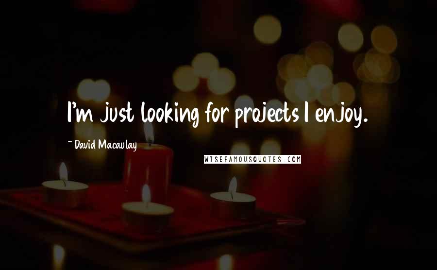 David Macaulay Quotes: I'm just looking for projects I enjoy.