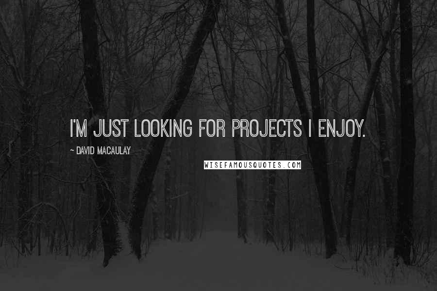 David Macaulay Quotes: I'm just looking for projects I enjoy.