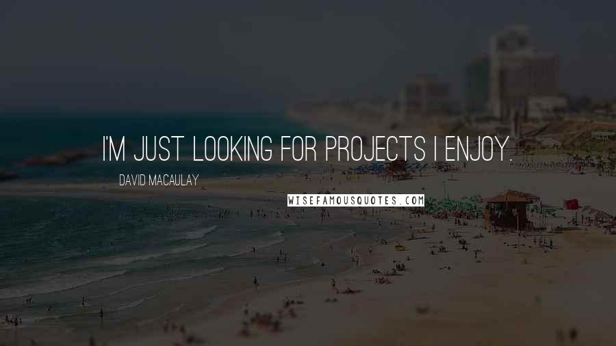 David Macaulay Quotes: I'm just looking for projects I enjoy.