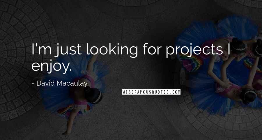 David Macaulay Quotes: I'm just looking for projects I enjoy.