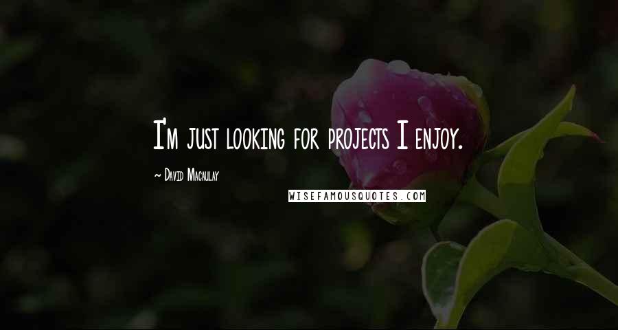 David Macaulay Quotes: I'm just looking for projects I enjoy.